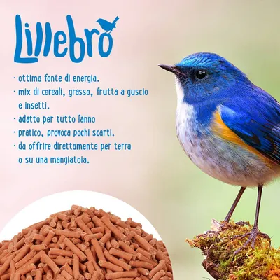 Lillebro. Ottima fonte di energia, mix di cereali, grasso, frutta a guscio e insetti. Adatto per tutto l'anno, pratico, provoca pochi scarti, da offrire per terra o su una mangiatoia.