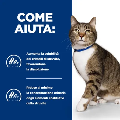 COME AIUTA: Aumenta la solubilità dei cristalli di struvite, favorendone la dissoluzione. Riduce al minimo la concentrazione urinaria degli elementi costitutivi della struvite.
