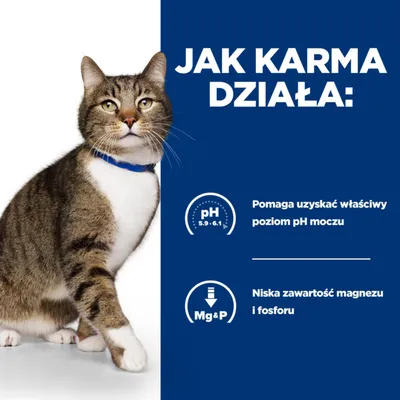 Jak karma działa: pomaga uzyskać właściwy poziom pH moczu (pH 5,9–6,1), niska zawartość magnezu i fosforu. Obok kot w niebieskiej obroży.