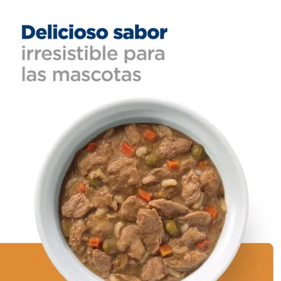 Texto visible: Delicioso sabor irresistible para las mascotas. Plato blanco con comida húmeda, trozos de carne, guisantes y zanahorias.