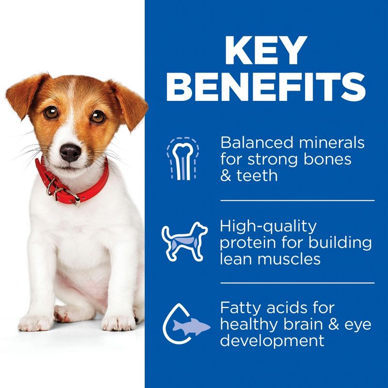Hill`s Science Plan Puppy Small & Mini Lamb & Rice