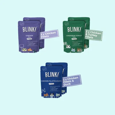 Three packs: 3 x Chicken Fillets, 3 x Chicken & Turkey Fillets, and 2 x Chicken Fillets & Duck. Each pack labelled grain free, delicate recipes, made for cats.