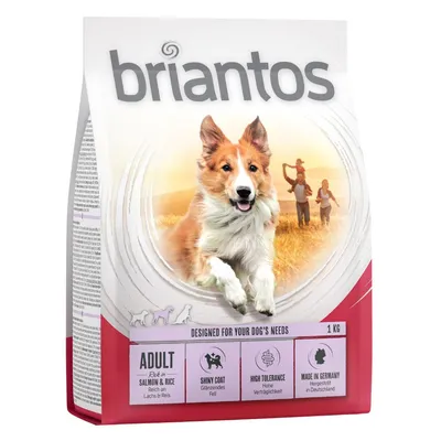 Confezione di crocchette per cani briantos Adult Salmon & Rice, 1 kg. Testo visibile: shiny coat, high tolerance, made in Germany. Immagine di cane e persone sullo sfondo.