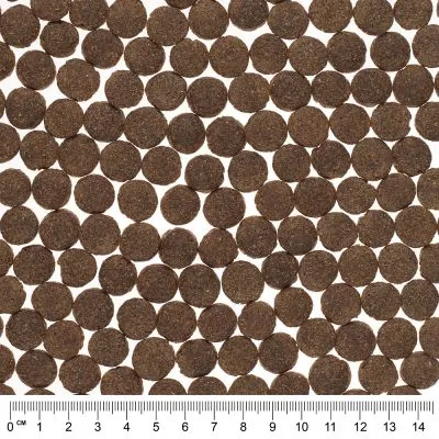 Bruna, runda torrfoderbitar för husdjur utlagda på rad med linjal under som visar storlek i centimeter, varje bit cirka 1–1,5 cm i diameter.