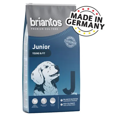 briantos Premium Dog Food Junior Young & Fit, 14 kg. MADE IN GERMANY. BALANCED NUTRITION, HIGH TOLERANCE. Kuvassa koiran piirros ja tuotetietoja englanniksi.