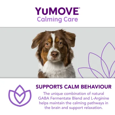 YuMOVE Calming Care for Adult Dogs