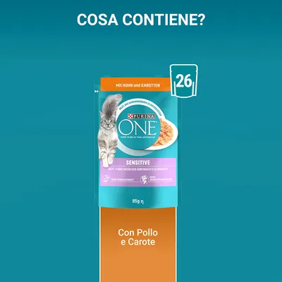Purina ONE Sensitive con pollo e carote, bustina da 85 g. Testo visibile: 'Con Pollo e Carote', 'Mit Huhn und Karotten', confezione con gatto. Icona 26 bustine.