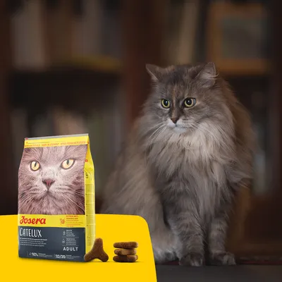 Josera Catelux Adult Katzenfutter, Super Premium Petfood, mit Anti-Haarballen-Rezeptur. Abgebildet: Verpackung und Futterstücke neben einer langhaarigen Katze.