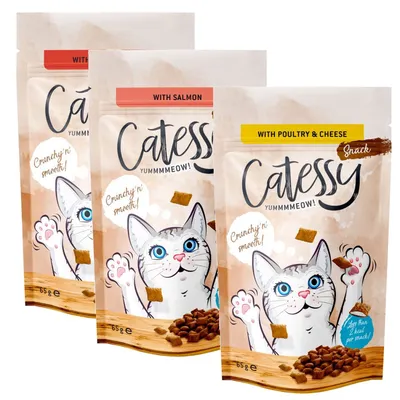 Catessy snack pouches, visible flavours are with salmon and with poultry & cheese. Text highlights crunchy n’ smooth texture and less than 2 kcal per snack. 65g packs shown.