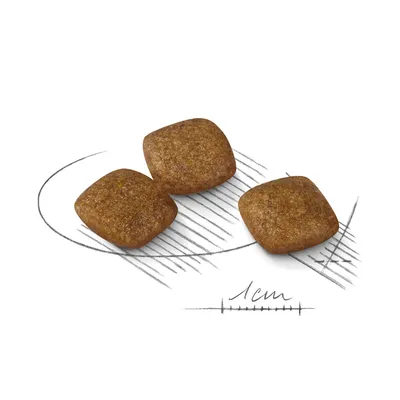 Three square-shaped kibble pieces shown next to a 1cm scale for size reference.
