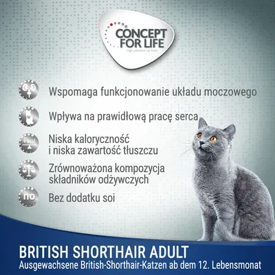 Concept for Life British Shorthair Adult. Wspomaga układ moczowy, serce, niska kaloryczność i tłuszcz, zrównoważone składniki odżywcze, bez soi. Tekst w języku niemieckim na dole.