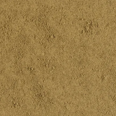 Dental Powder Supplement - Concept for Life