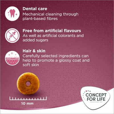 Product features: dental care with plant-based fibres, free from artificial flavours, colourants and added sugars, promotes glossy coat and soft skin. Kibble size shown as 10 mm.
