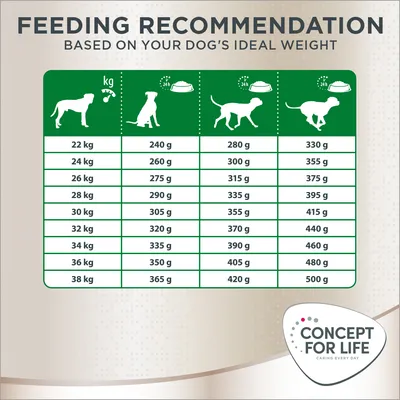 Feeding recommendation table for dogs by weight: 22–38 kg, daily amounts from 240 g to 500 g. Concept for Life brand logo bottom right. Heading: Feeding Recommendation Based on Your Dog’s Ideal Weight.