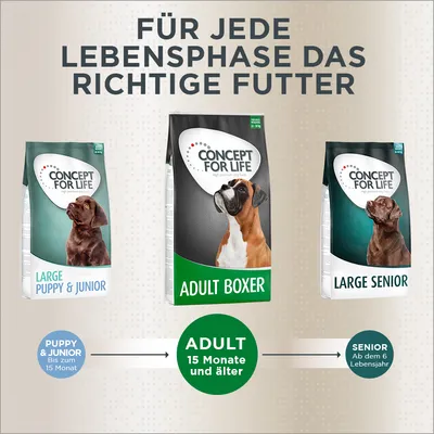 Concept for Life Hundefutter für jede Lebensphase: Large Puppy & Junior bis 15 Monate, Adult Boxer ab 15 Monate, Large Senior ab dem 6. Lebensjahr.