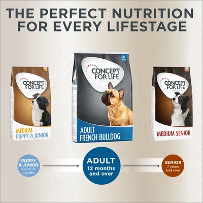 Concept for Life dog food packs: Medium Puppy & Junior, Adult French Bulldog, Medium Senior. Text: The perfect nutrition for every lifestage. Age groups: up to 12 months, 12 months+, 7 years+.