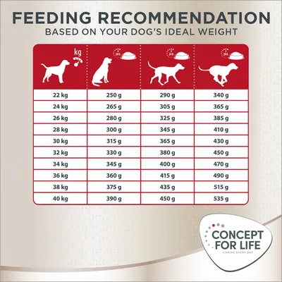 Feeding guide for Concept for Life dog food: daily grams by weight from 22 kg (250–340 g) to 40 kg (390–535 g), with three feeding columns shown. Brand logo bottom right.