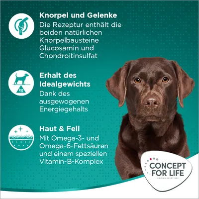 Knorpel und Gelenke: Glucosamin und Chondroitinsulfat. Erhalt des Idealgewichts: ausgewogener Energiegehalt. Haut & Fell: Omega-3, Omega-6, Vitamin-B-Komplex. Concept for Life Logo.