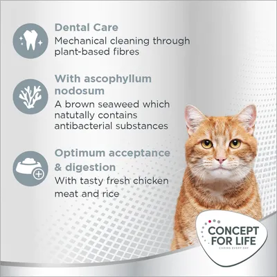 Concept for Life Oral Care