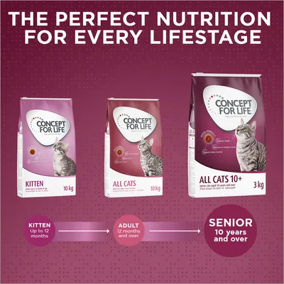 Concept for Life All Cats 10+  - с подобрена рецепта!