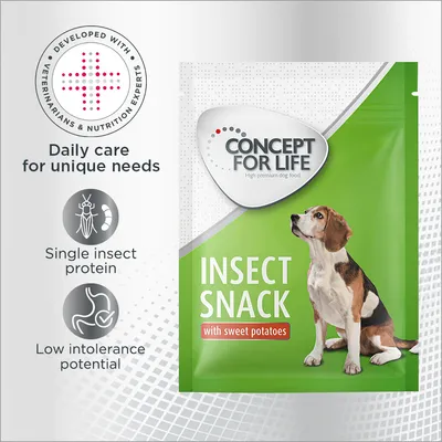 CONCEPT FOR LIFE Insect Snack with sweet potatoes, pakiranje s psom. Tekst: Daily care for unique needs, Single insect protein, Low intolerance potential. Developed with veterinarians & nutrition experts.
