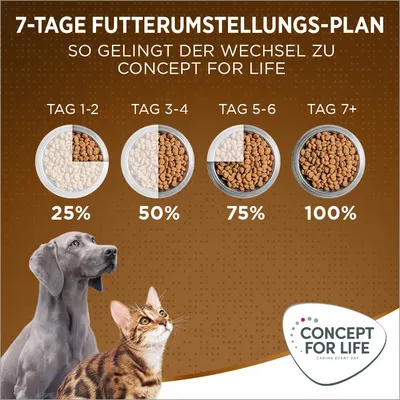 7-Tage Futterumstellungs-Plan: Tag 1-2 25%, Tag 3-4 50%, Tag 5-6 75%, Tag 7+ 100%. Anleitung für den Wechsel zu Concept for Life. Hund und Katze abgebildet.