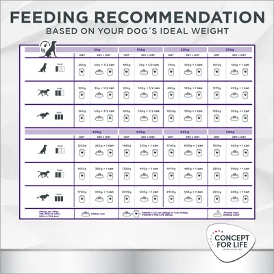 Feeding guide for dogs by weight, showing daily wet, dry, and mixed food amounts in grams or cans for 5–70 kg. Includes icons for kibble, cans, water. Concept for Life brand visible.