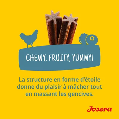 Chewy, fruity, yummy! La structure en forme d’étoile donne du plaisir à mâcher tout en massant les gencives. Josera