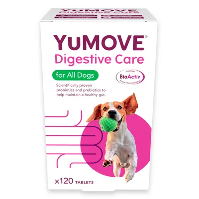 YuMOVE Digestive Care for all dogs, 120 tablets. Contains scientifically proven probiotics and prebiotics to help maintain a healthy gut. Powered by BioActiv.