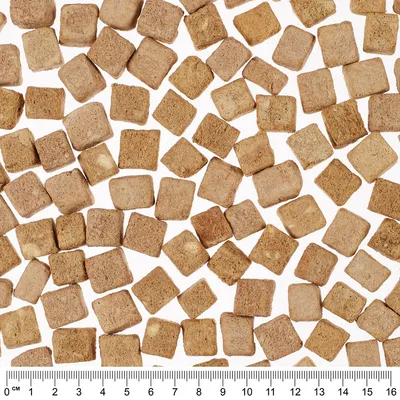 Cubi di snack per pet disposti su sfondo bianco, con righello in centimetri da 0 a 16 cm visibile nella parte inferiore per mostrare la dimensione dei pezzi.