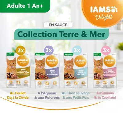 IAMS Delights Collection Terre & Mer en sauce pour chat adulte 1 an+, 4 variétés : poulet & dinde, agneau & poivrons, thon sauvage & petits pois, saumon & cabillaud, 4 x 3 sachets 85 g