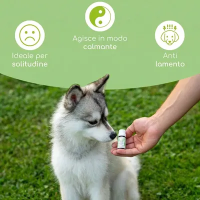 Wolfsbacher Natur Fiori di Bach 10 g