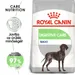 Royal Canin Maxi Digestive Care