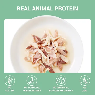 Schesir Complementen filet in gelei 6 x 70 g