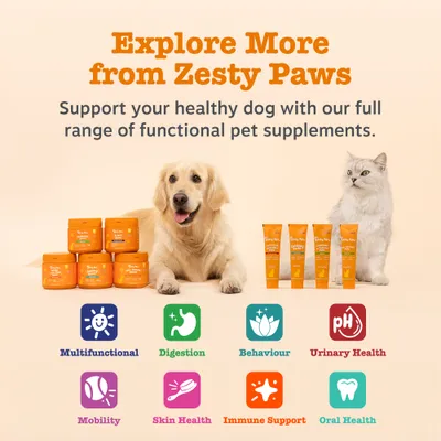Zesty Paws Cat Calming Diffuser Refill Orchid Mist - 75g Zesty Paws Cat Calming Diffuser Refill Orchid Mist - 75g