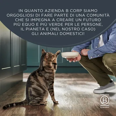 Encore in salsa Pacco misto in buste 20 x 50 g Umido gatto