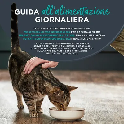 Encore in salsa Pacco misto in buste 20 x 50 g Umido gatto