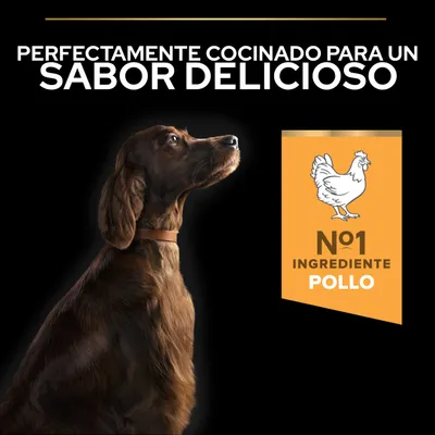 Perfectamente cocinado para un sabor delicioso. Ingrediente n.º 1: pollo. Perfectamente cocinado para un sabor delicioso. Ingrediente n.º 1: pollo.