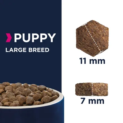 PUPPY LARGE BREED felirat, táp méretábra: szemek átmérője 11 mm, magassága 7 mm, tálban száraztáp látható.