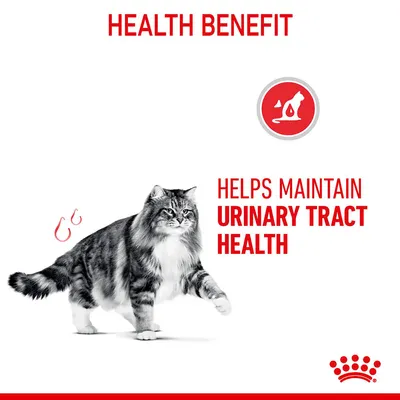 Health benefit image stating helps maintain urinary tract health, with a cat and an icon indicating urinary health support.