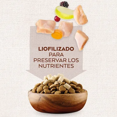 Texto em espanhol: 'Liofilizado para preservar los nutrientes', com pedaços de carne, fruta e legumes acima de uma taça de ração para animais de estimação.