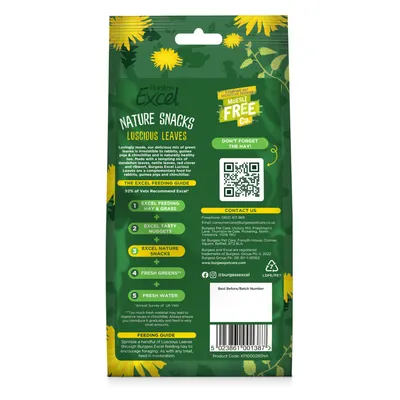 Burgess Excel Nature Snacks Luscious Leaves - 60g
