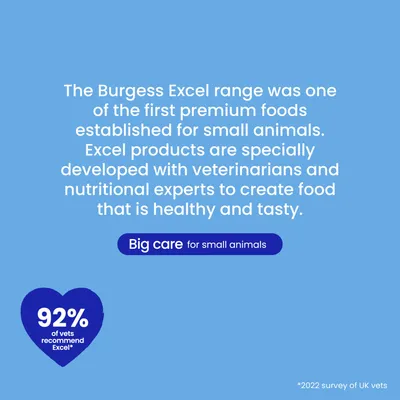 Burgess Excel Ferret Nuggets - Economy Pack: 2 x 2kg Burgess Excel Ferret Nuggets - Economy Pack: 2 x 2kg