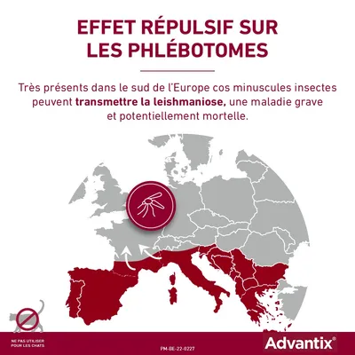 Advantix® petit chien, de 4 kg à 10 kg