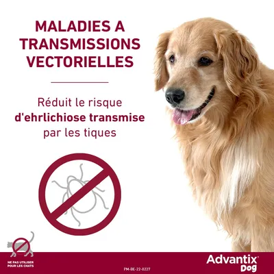 Advantix® grand chien, de 25 kg à 40 kg