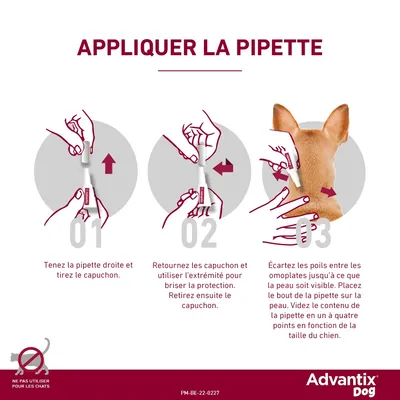 Advantix® très petit chien jusqu'à 4 kg