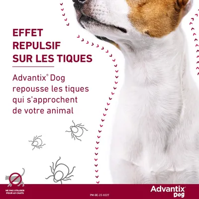 Advantix® grand chien, de 25 kg à 40 kg