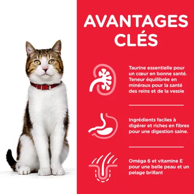 AVANTAGES CLÉS : taurine essentielle pour un cœur sain, minéraux pour reins et vessie, ingrédients faciles à digérer riches en fibres, oméga 6 et vitamine E pour peau et pelage brillants.