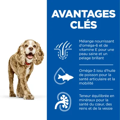 Avantages clés : oméga-6 et vitamine E pour peau et pelage, oméga-3 d’huile de poisson pour articulations, minéraux équilibrés pour cœur, reins et vessie. Texte en français (fr_BE).