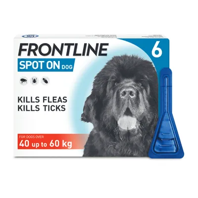 Frontline Spot On for dogs over 40 up to 60 kg, kills fleas and ticks, pack of 6 shown with applicator.